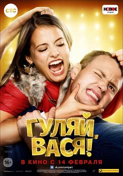 Гуляй, Вася (2017)