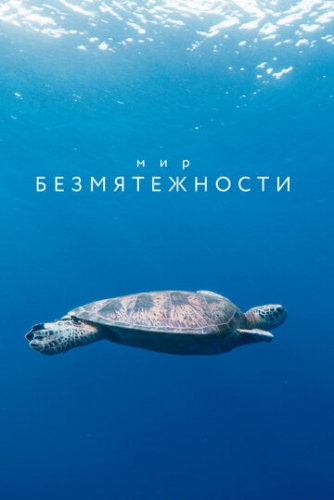 Мир безмятежности (сериал 2020)