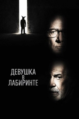 Девушка в лабиринте (фильм 2019)