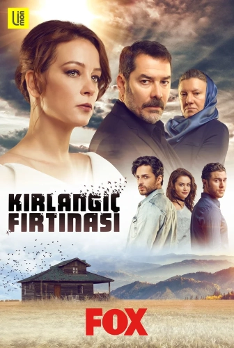 Шторм ласточки (2017)