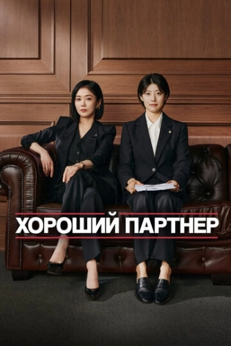 Хороший партнёр (2024)