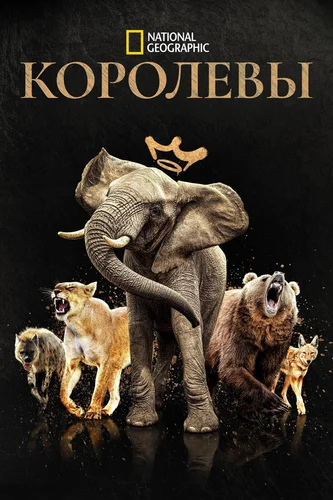 Королевы (2024)
