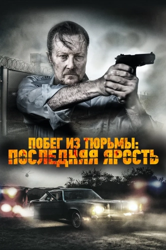Последняя ярость (2017)