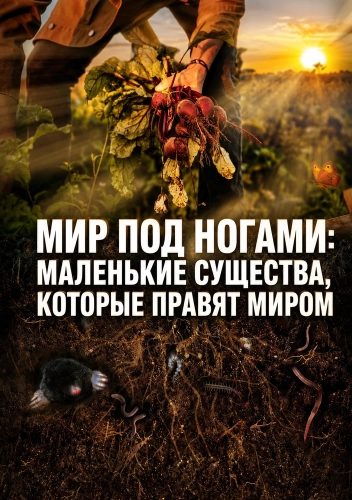 Мир под ногами: маленькие существа, которые правят миром (2023)