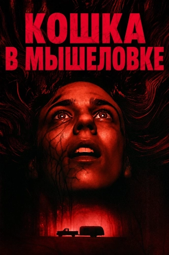 Кошка в мышеловке (2025)