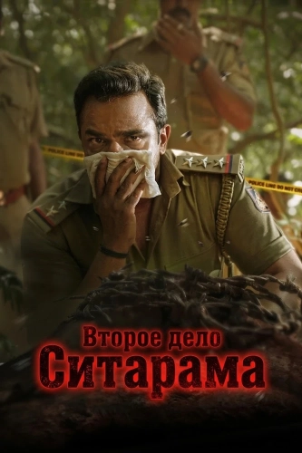 Второе дело Ситарама (2026)